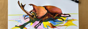 Drawing a Japanese Beetle